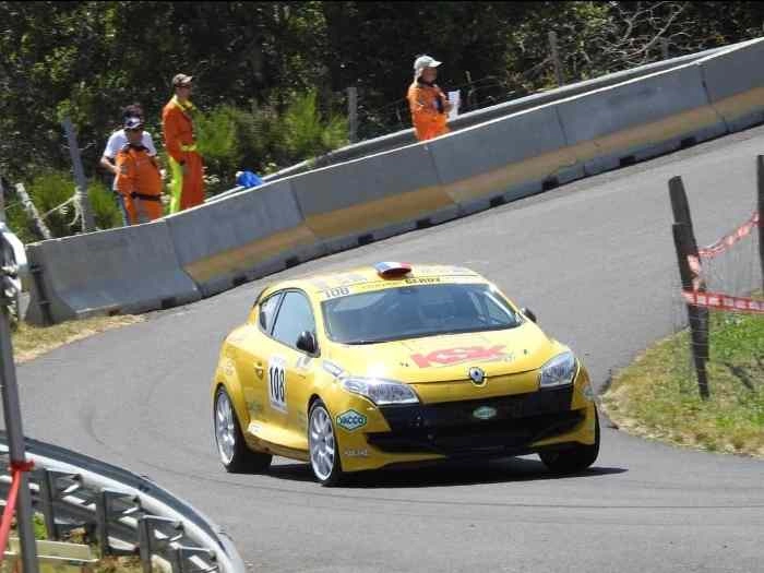 Megane N4